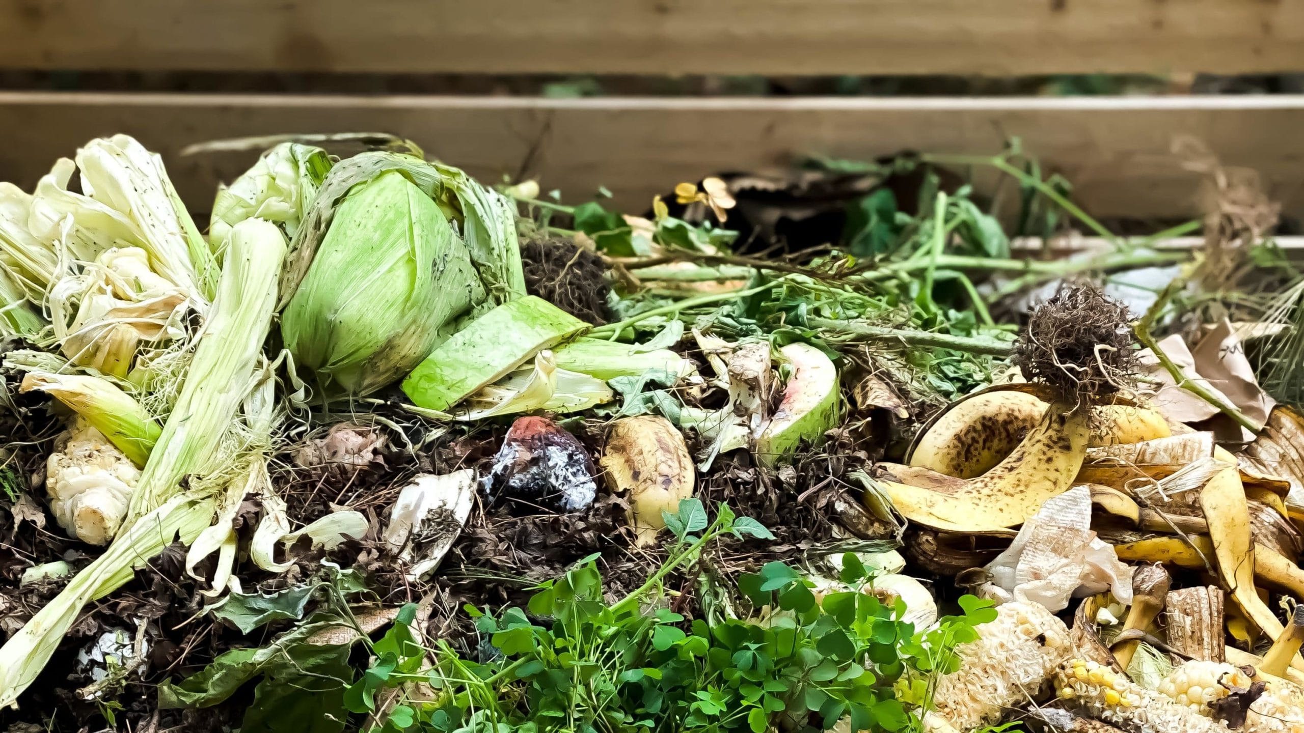 Compostage : les différentes techniques - Gamm vert