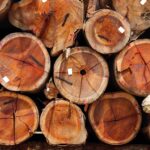 Bois de chauffage certifié