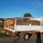 Transport du bois de chauffage