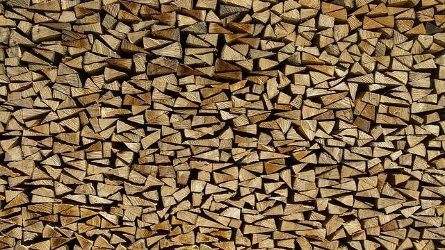 Types de bois de chauffage