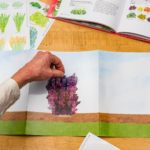 Comment aménager un jardin paysager en 12 étapes ?