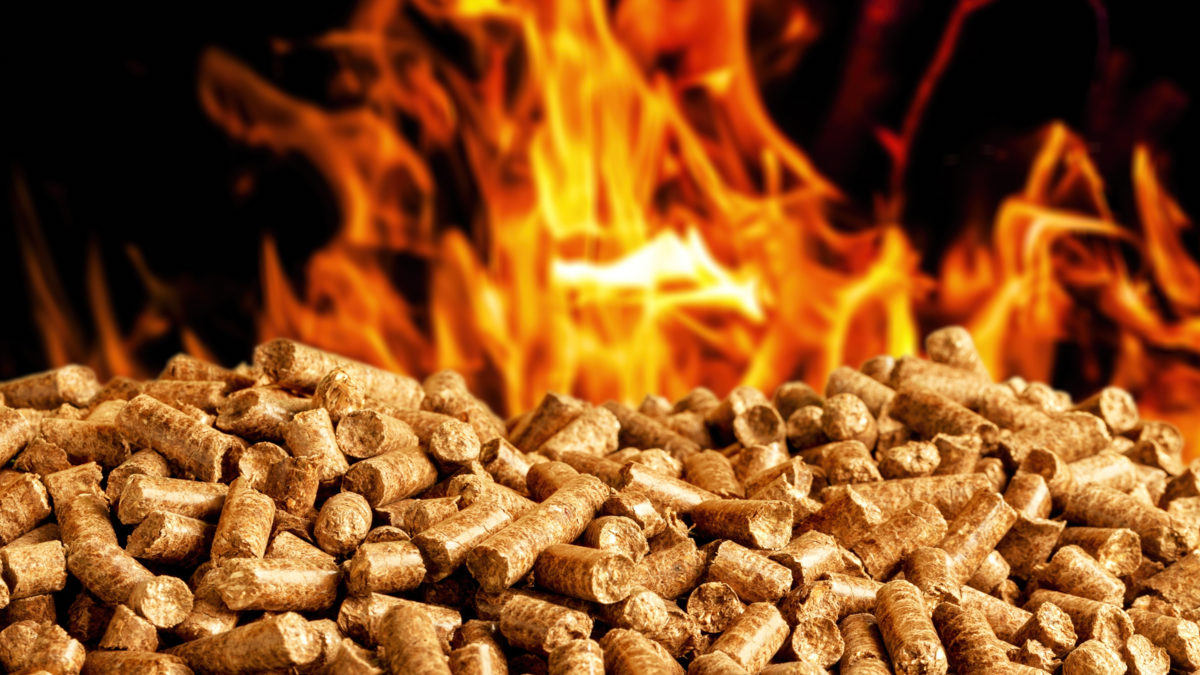 Pellets de bois