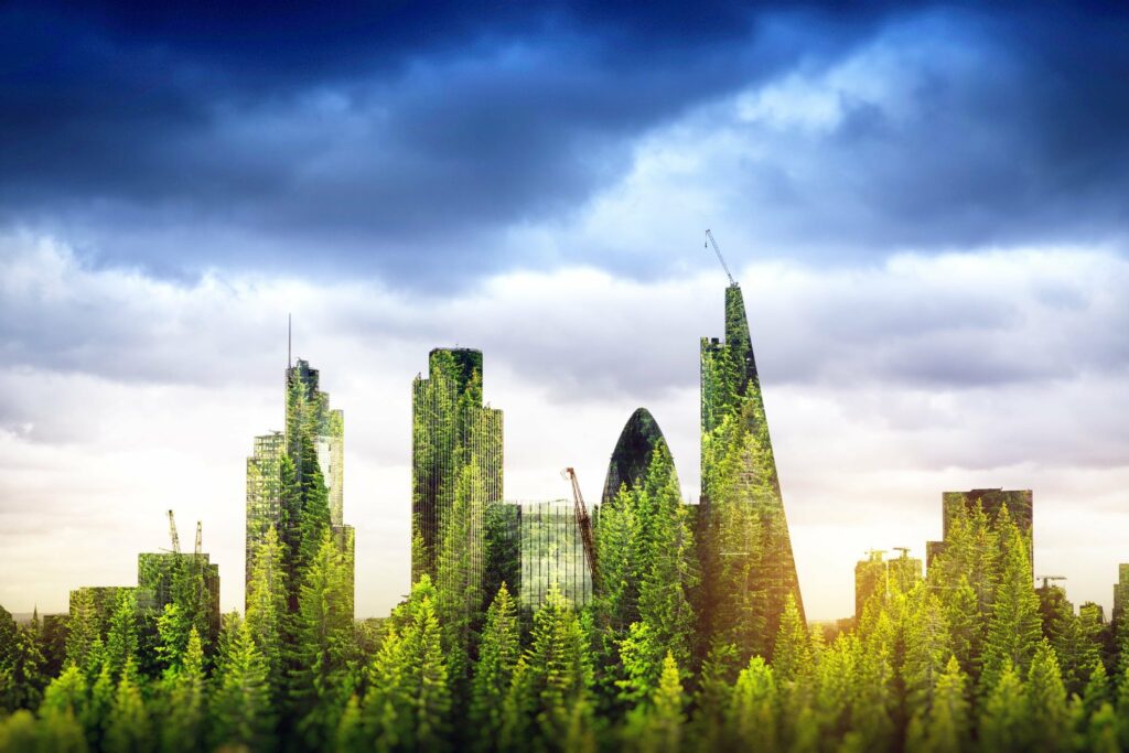 Comment construire une maison écologique ? 13 conseils aux promoteurs