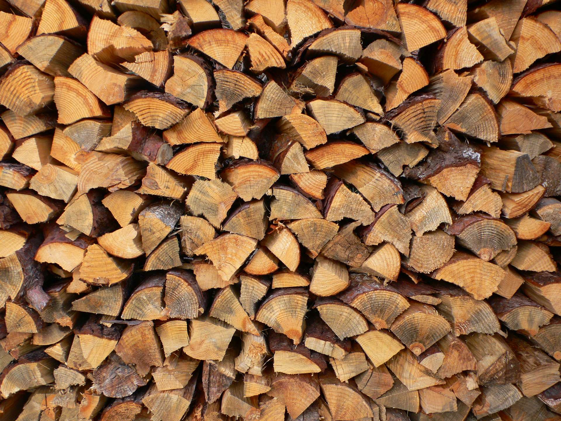 Comment reconnaitre le bois de chauffage de Qualité ? 10 conseils — free download